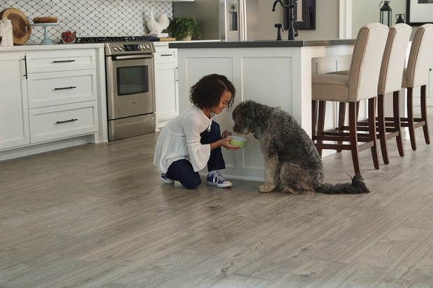 girl feeding dog in kitchen