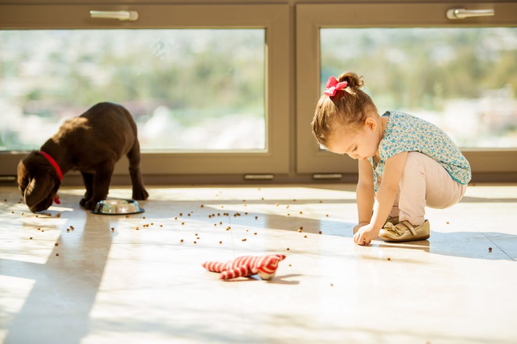 child and dog on laminate flooring