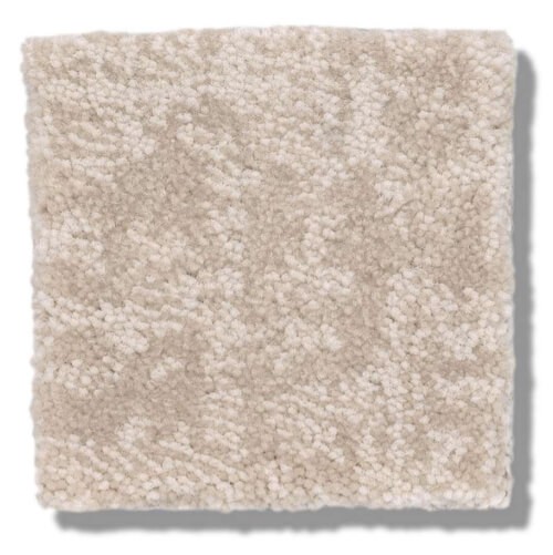 Beige Carpet | Dolphin Carpet & Tile