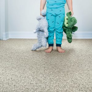 Grey Carpet flooring | Dolphin Carpet & Tile