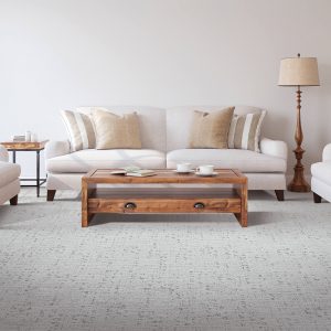 Living room carpet flooring | Dolphin Carpet & Tile