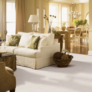 Living room carpet | Dolphin Carpet & Tile