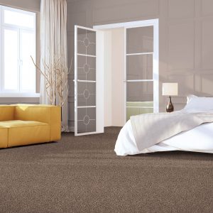 Impressive selection of Carpet | Dolphin Carpet & Tile