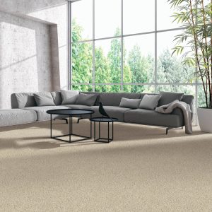 Modern living room flooring | Dolphin Carpet & Tile