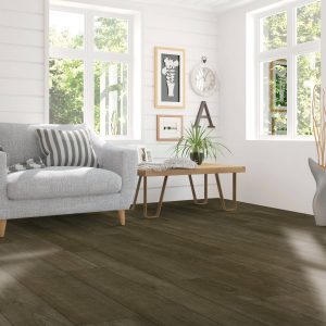 Living room flooring | Dolphin Carpet & Tile