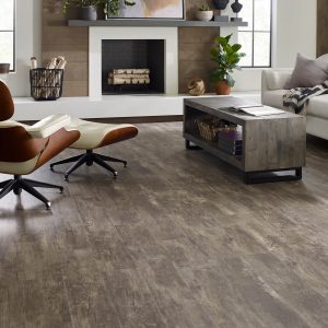 Paramount vinyl flooring | Dolphin Carpet & Tile