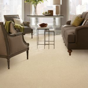 Carpet Flooring | Dolphin Carpet & Tile