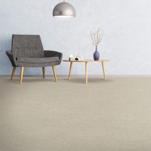 Soft comfortable carpet | Dolphin Carpet & Tile