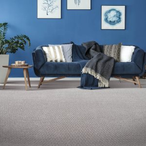 Blue colorwall | Dolphin Carpet & Tile