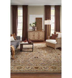 Karastan area rug | Dolphin Carpet & Tile