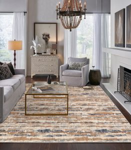 Karastan area rug for living room | Dolphin Carpet & Tile