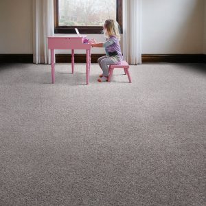 Carpet Flooring | Dolphin Carpet & Tile