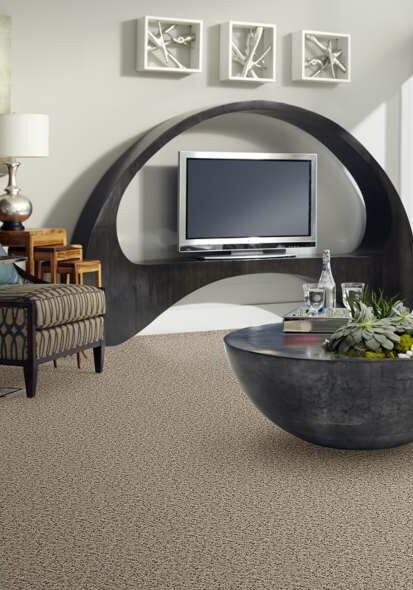 Shaw Sophisticated Space carpet | Dolphin Carpet & Tile