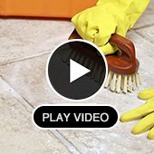 Video | Dolphin Carpet & Tile